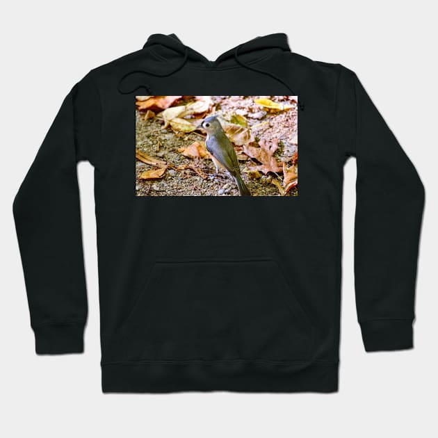 Tufted Titmouse in Woodland Leaves Hoodie by Colette22